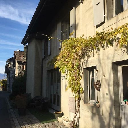 Maison Rouge Cacahuete Bed & Breakfast Nernier Dış mekan fotoğraf